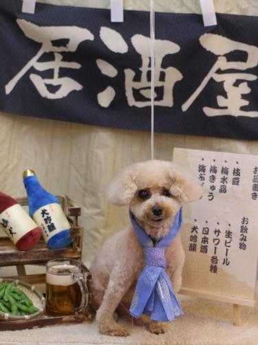 20240613クッキーくん